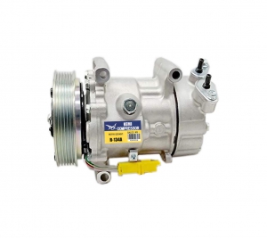 Auto AC Compressor for Peugeot  206 307 1007 Citroen Partner Citroen C2 C3 Sd6v12 6453XJ 6453QG 6453QE 6453QH 9655191680