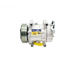SD6V12 Air Conditioning AC Compressor For Peugeot 307 206 Partners 6453LS 6453JL 6453JP 6453KS 6453LF 9646273880 9639078180